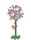 5. lektion - rosenbaum
